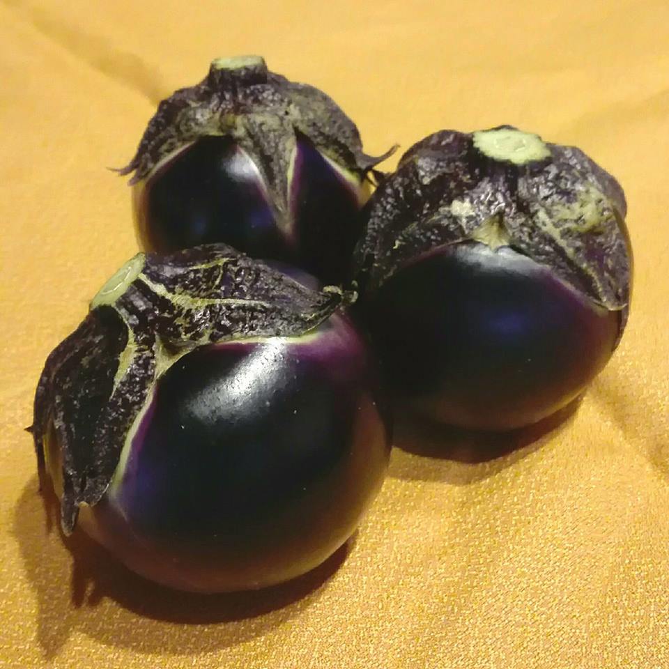 山のなす | 桜川市観光協会公式ホームページ