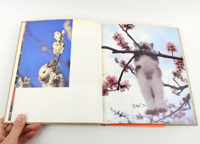 猫の麦わら帽子｜恵文社一乗寺店 オンラインショップ