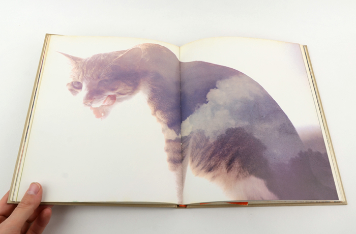 猫の麦わら帽子｜恵文社一乗寺店 オンラインショップ