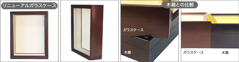 オオスズメバチ(働き蜂メス) , 蝶の標本 販売・通販のNatureShop