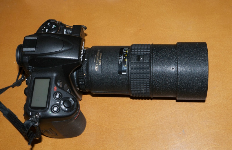 Nikkor 180mm f/2.8 AF ED-IF lens | Photographs, Photographers and