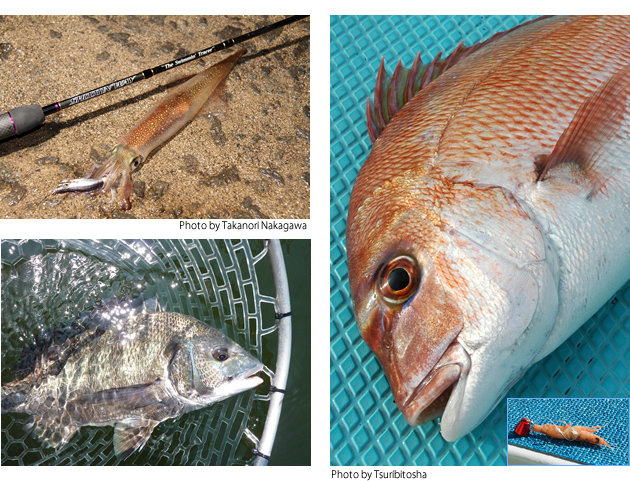 PRO'S ONE | PRODUCT | シューティンウェイ