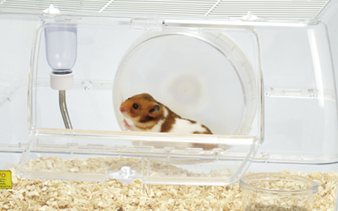 ルーミィ グランスペース クリアー ｜ 株式会社三晃商会