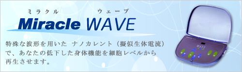 ミラクルウェーブ - 西宮の整体サロン TERRA