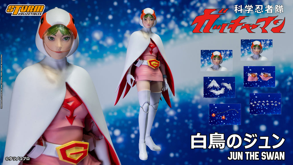 JUN THE SWAN G-3 (白鳥のジュン) Action Figure – Storm Collectibles