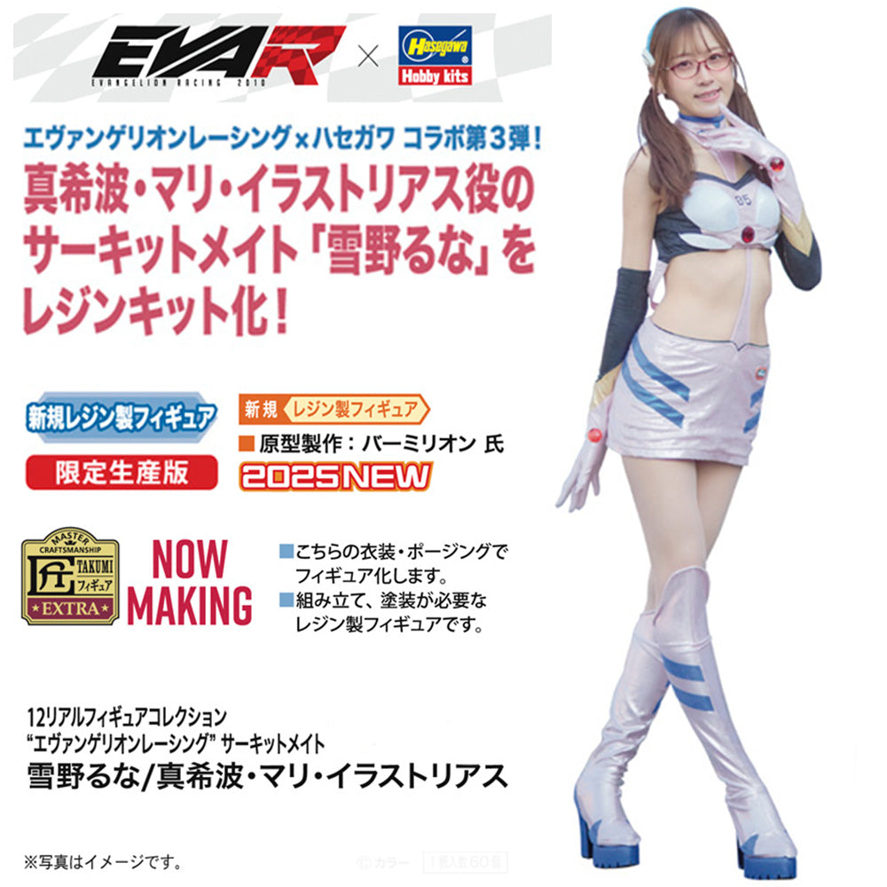 1/12 リアルフィギュアコレクション