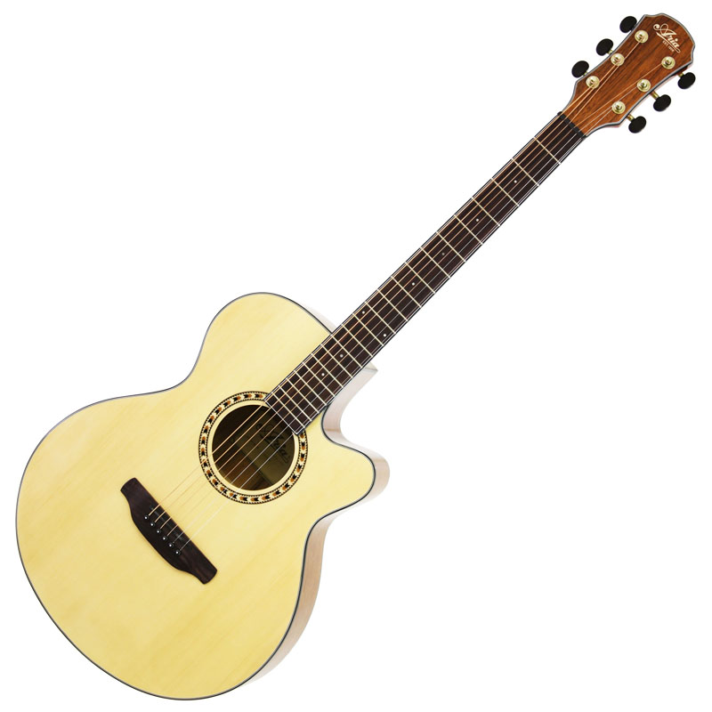 Aria TG-1N アコースティックギター 弦交換済み ソフトケース付き Aria