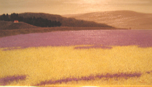 画家：佐々木信平 現代作家の軌跡訪問／ART BOX international