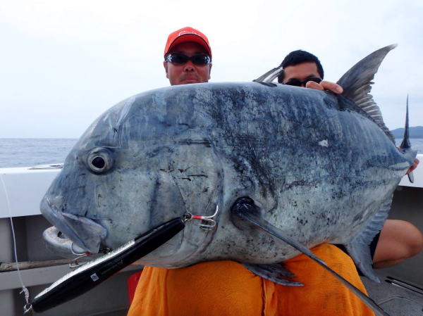 カーペンター SLP80／38 シーレパード