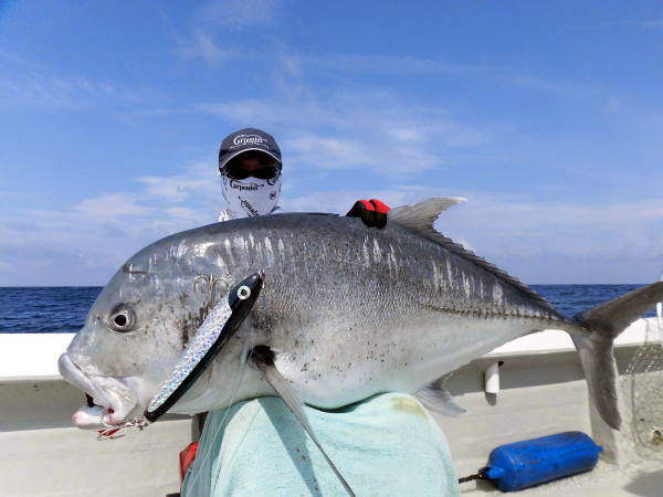 カーペンター SLP80／33 シーレパード