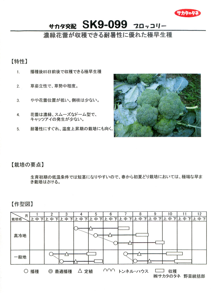 株式会社サカタのタネ ／ ブロッコリー ／ サカタ交配 ／ SK9-099