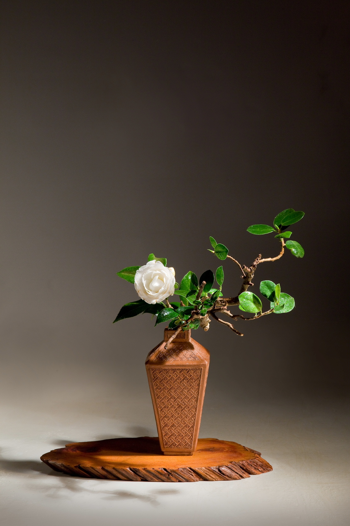 中華花藝文人花之研究與花藝家的文化涵養