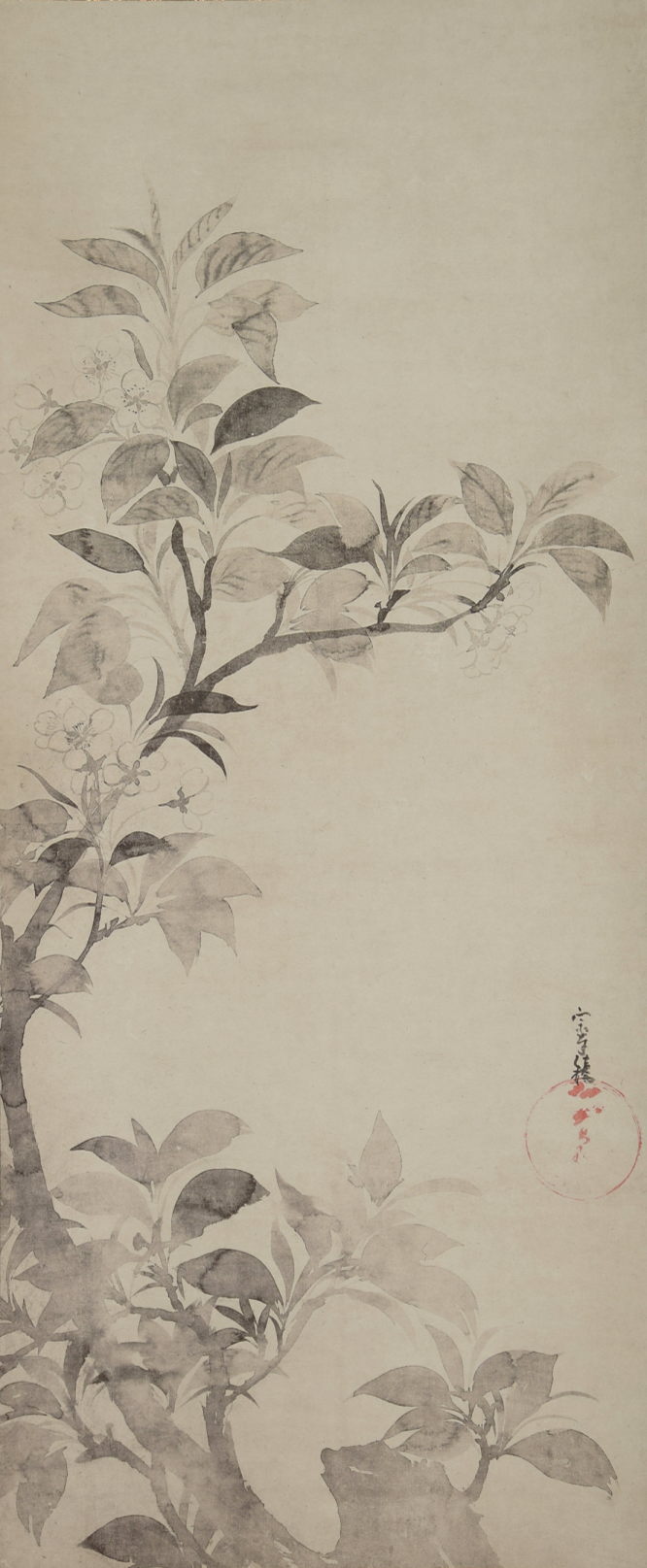 俵屋宗達:原作「桜図」：E-088j[工芸掛け軸]古美術谷口