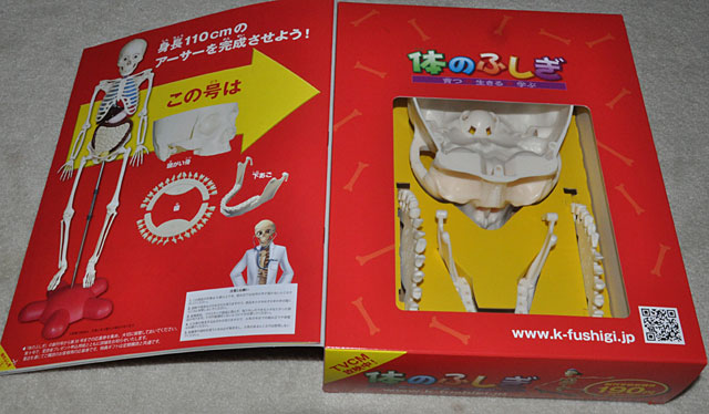 アシェット「体のふしぎ」ついでに買ってしまった創刊号と2号