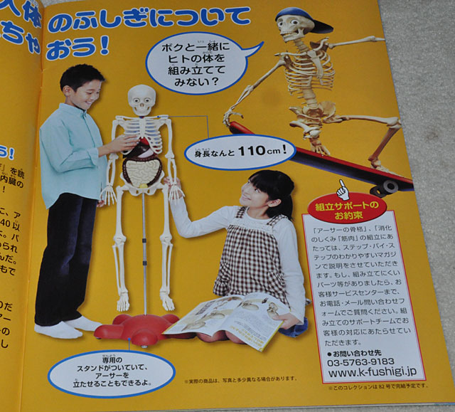 アシェット「体のふしぎ」ついでに買ってしまった創刊号と2号