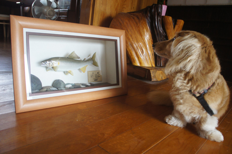 鮎の剥製: RyonとS-MXの落書帳