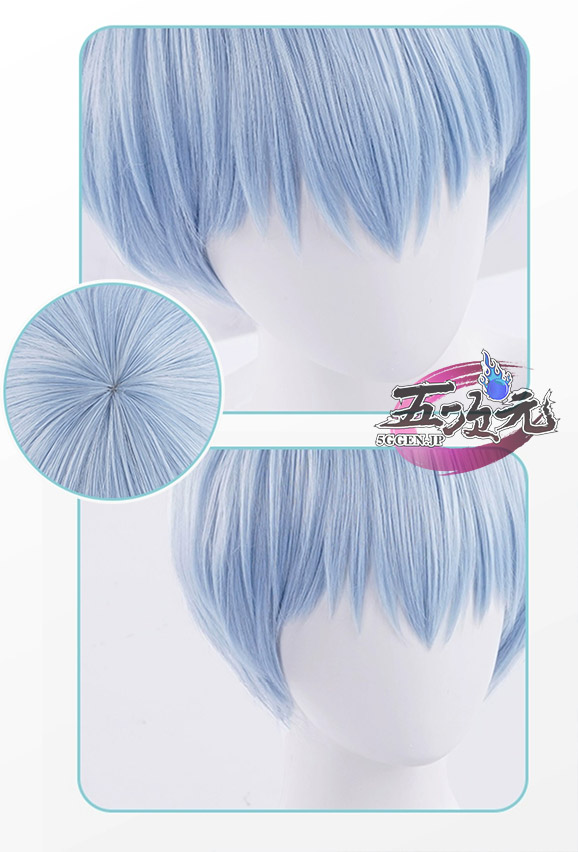 三分妄想 葬送のフリーレン コスプレ ヒンメル ウィッグ