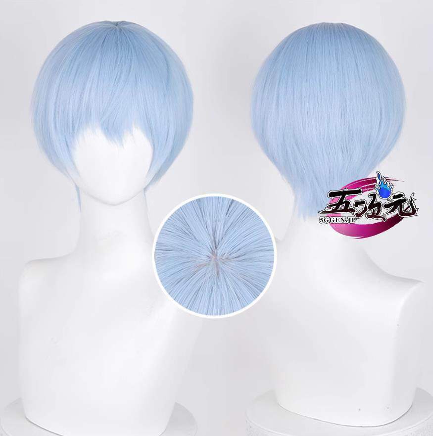 五次元 葬送のフリーレン コスプレ ヒンメル ウィッグ