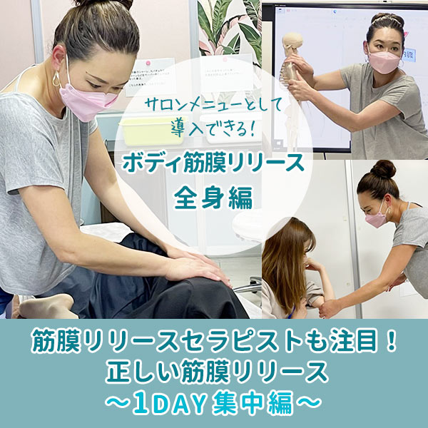 筋膜リリースセラピストも注目！正しい筋膜リリース講座～1DAY集中編