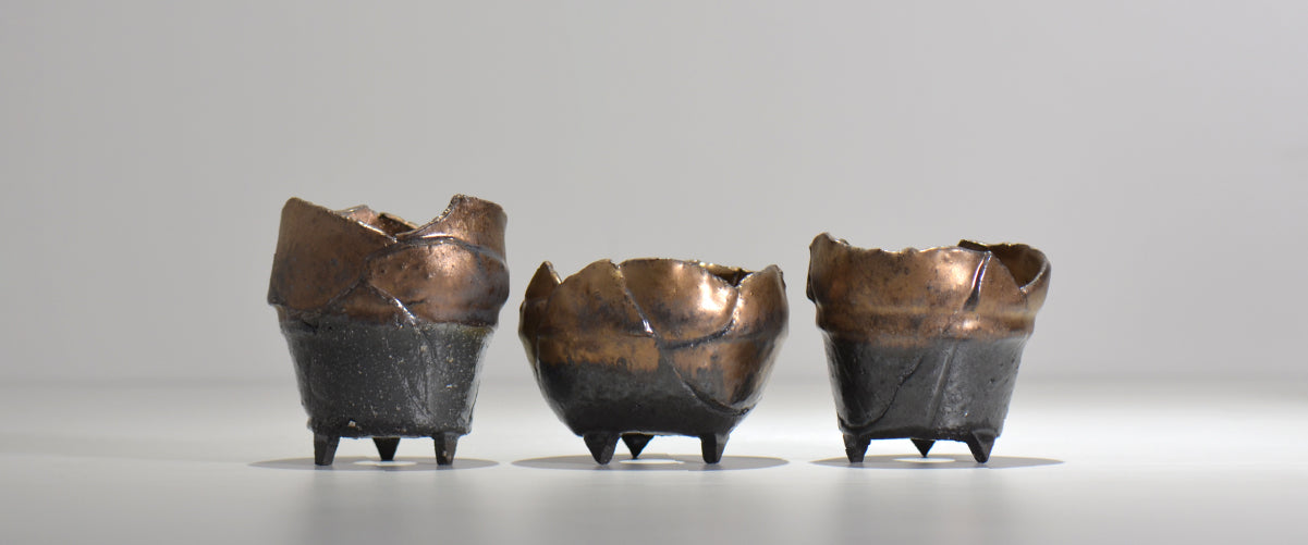 塊根植物・観葉植物の植木鉢専門店 「HACHILABO - ハチラボ- 」