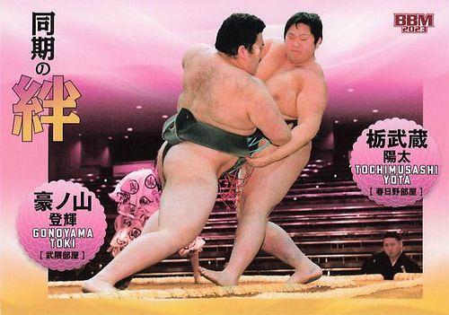 ミントモール / MINT BASE店 (TCシングル通販) / 2023 BBM 大相撲