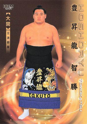 ミントモール / MINT BASE店 (TCシングル通販) / 2024 BBM 大相撲