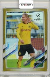 ミントモール / 検索結果 haaland