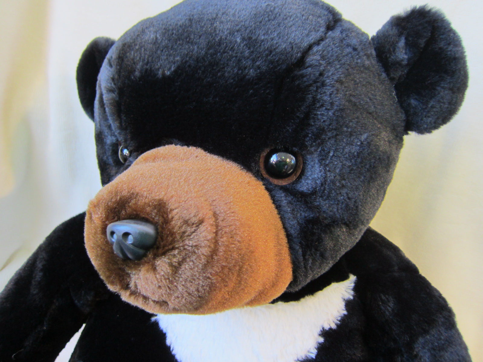 ベアフレール（L）ツキノワグマ | テディベア通販お探しなら美術館直営