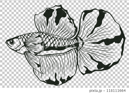 熱帯魚ベタのシンプル白黒切り絵イラストのイラスト素材 [118111664