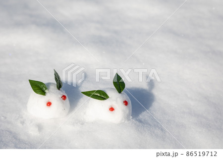 雪うさぎ 雪兎 ゆきうさぎ 年賀状素材の写真素材 - PIXTA