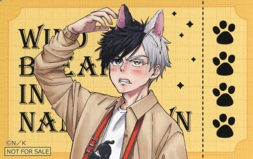 Collectible Cards/Collection Sheet]WIND BREAKER - Haruka Sakura