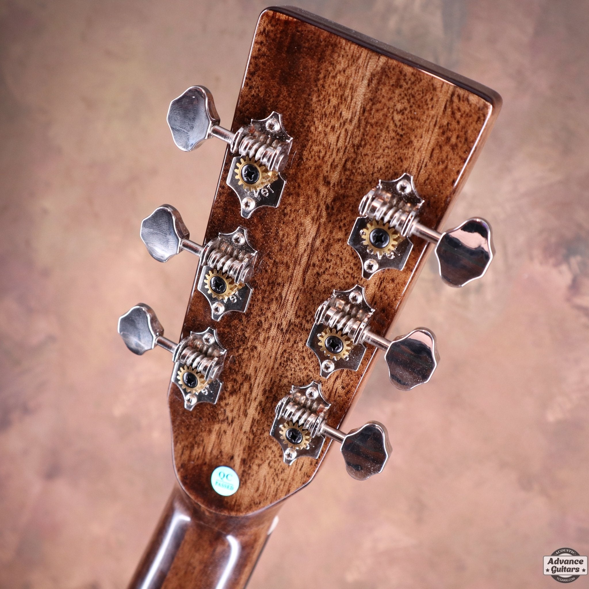 GA01RM アンプ不要！エフェクター内蔵ギター♬