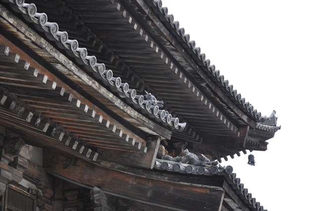 AF-S DX NIKKOR 18-105mm F3.5-5.6G ED VR レビュー