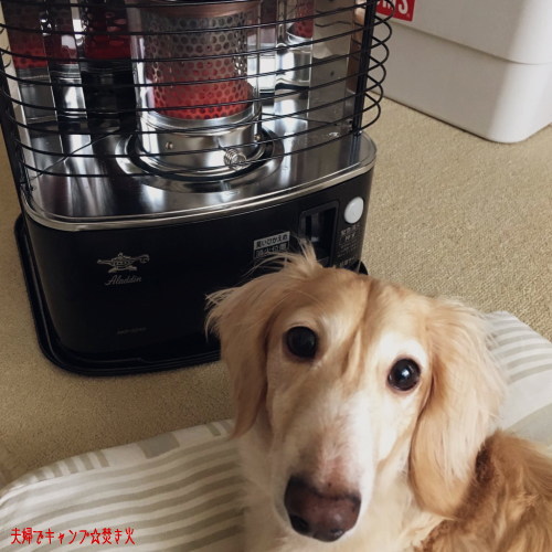 【アラジン】2020年製 AKP-S248 石油ストーブ アラジン（Aladdin） AKP-S248 石油ストーブ [木造7畳まで