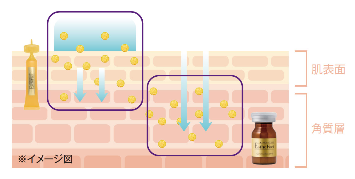 たかの友梨ビューティクリニック／株式会社不二ビューティ