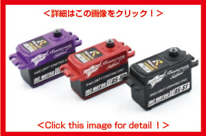 新製品】RS-STサーボ Anniversary Edition 新登場！/ New RS-ST Servo