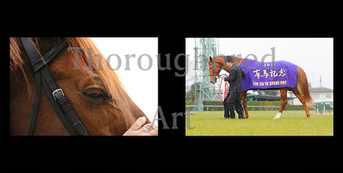 ユーキ オルフェーヴル 引退式額装写真 レース写真同梱 ユーキ様専用