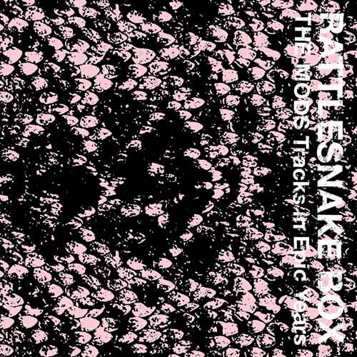 RATTLESNAKE BOX -THE MODS Tracks in Epic Years- ｜ THE MODS