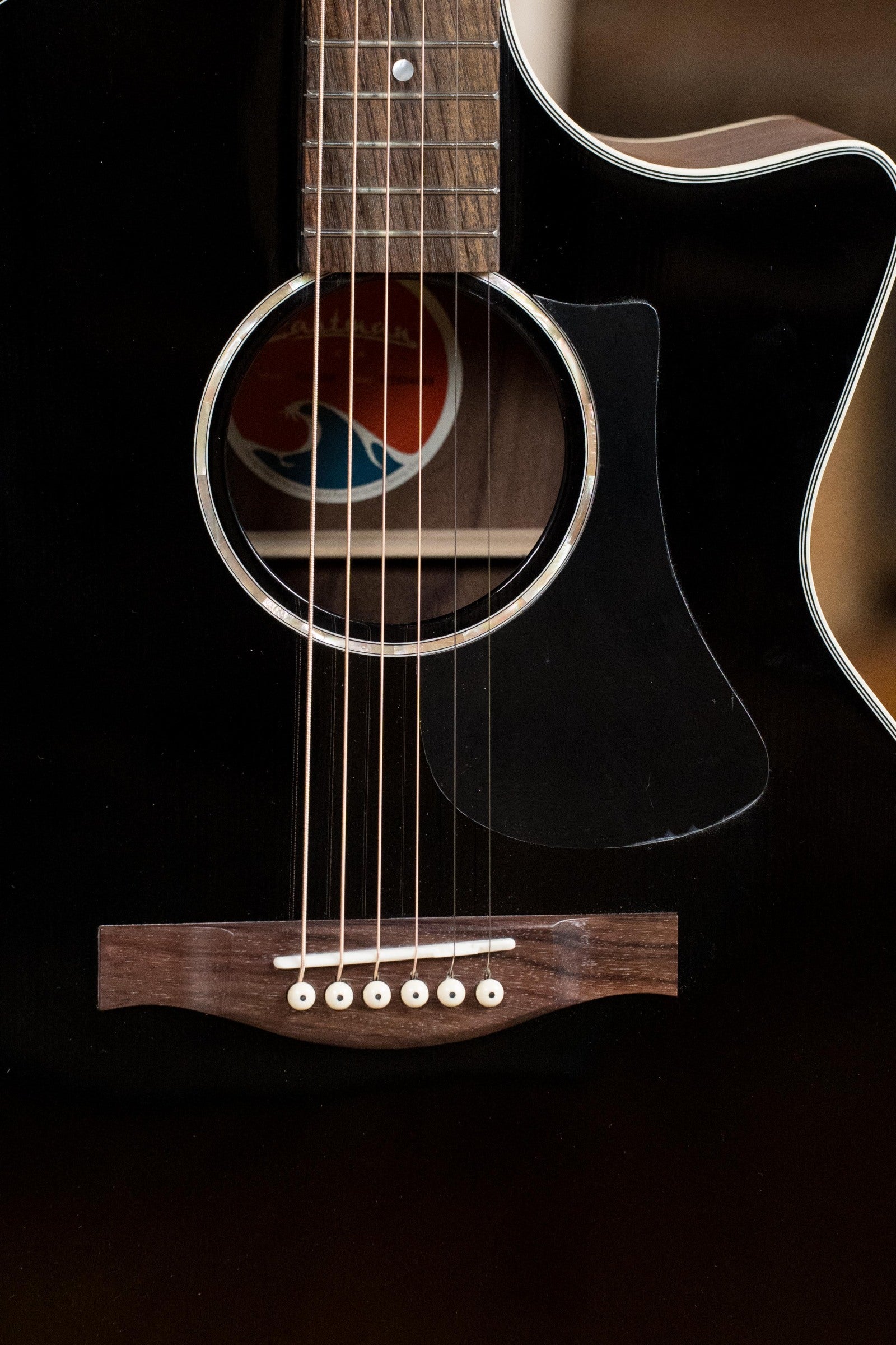 Eastman PCH2-GACE-BK Solid Thermo-Cured Sitka/Laminated Rosewood Grand