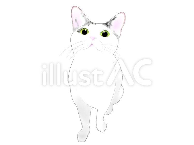見上げる猫イラスト - No: 22219558｜無料イラスト・フリー素材なら