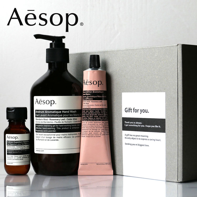 ギフトBOX/紙袋付】 Aesop イソップ ハンドソープ ハンドクリーム