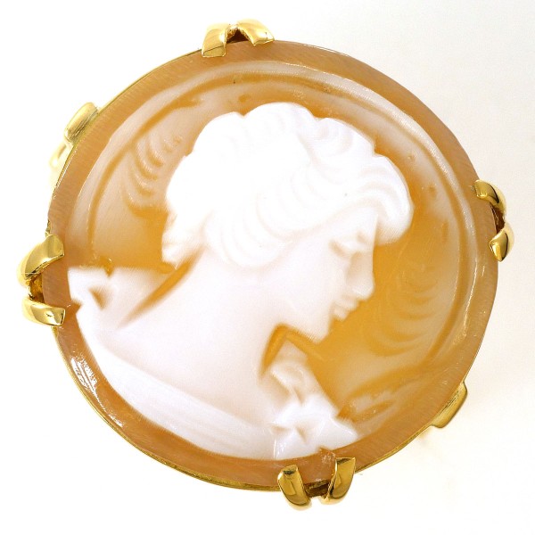 楽天市場】シェルカメオの通販