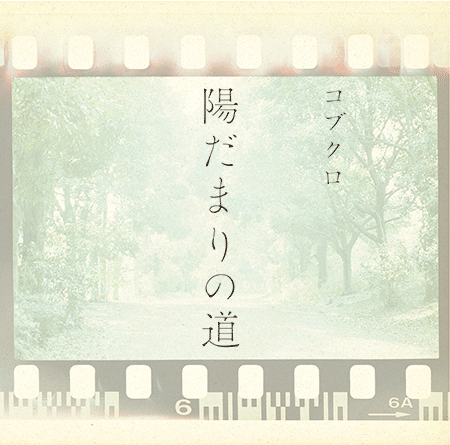 New Single「陽だまりの道」Release