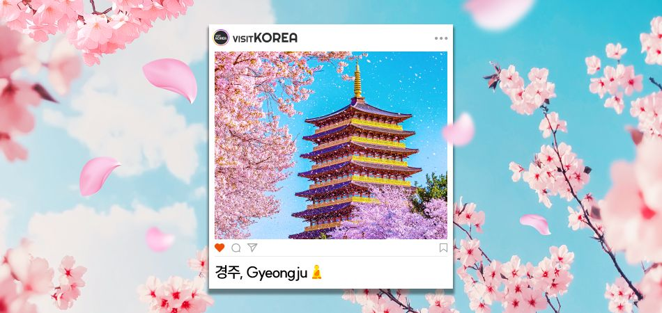 新しい慶州、歴史とトレンドが出会う場所！- 韓国観光公社公式サイト