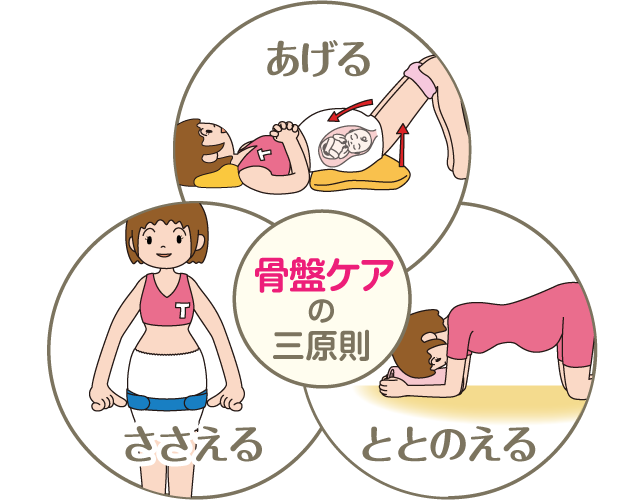 骨盤ケアの三原則 | 製品情報 | トコちゃんベルトの青葉 公式サイト