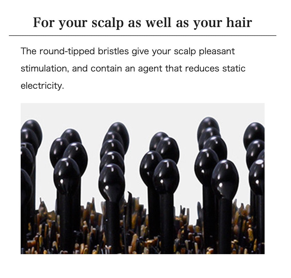 MTG ReFa AILE BRUSH RAY – Tokyo on Demand