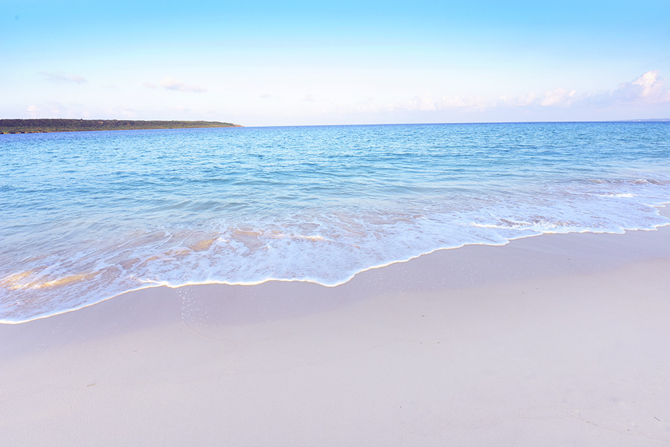 東京カメラ部2015写真展ニコンイメージングジャパントークショー