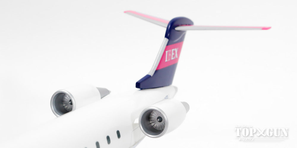 EverRise CRJ-700 IBEX アイベックス・エアラインズ（ギアなし