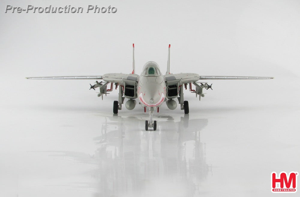航空機・ヘリコプター Hobby Master 1/72 F-14 TOMCAT HA5228 航空機