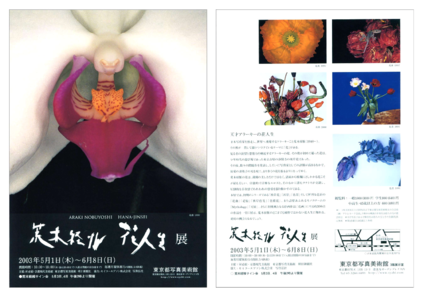 荒木経惟「花人生」展 | 東京都写真美術館
